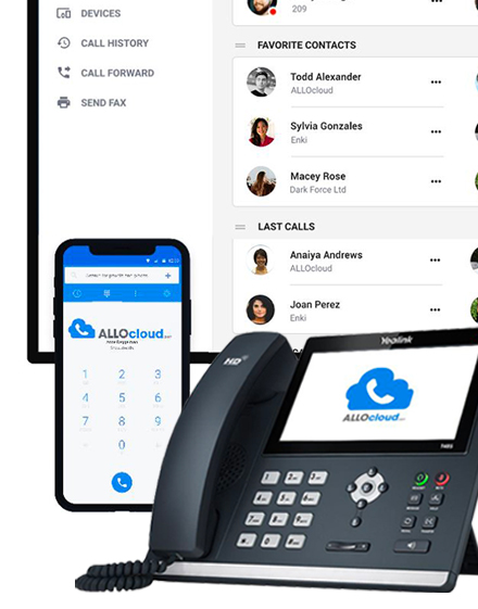 Serveur Business Telephony pour entreprise