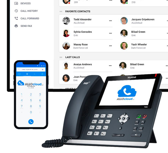 Serveur Business Telephony pour entreprise